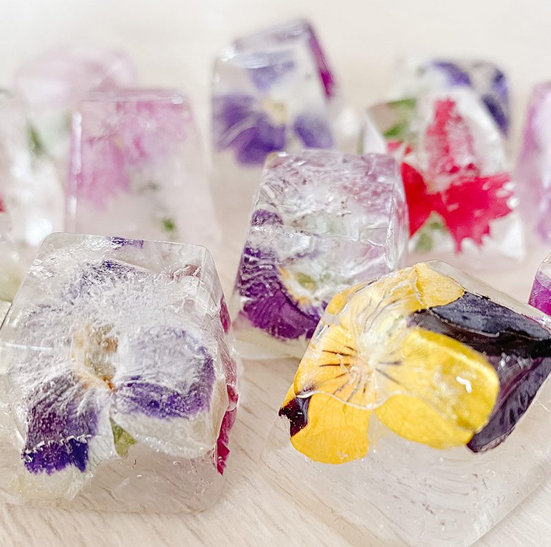 Flower Ice Cubes – Eiswürfel mit essbaren Blüten