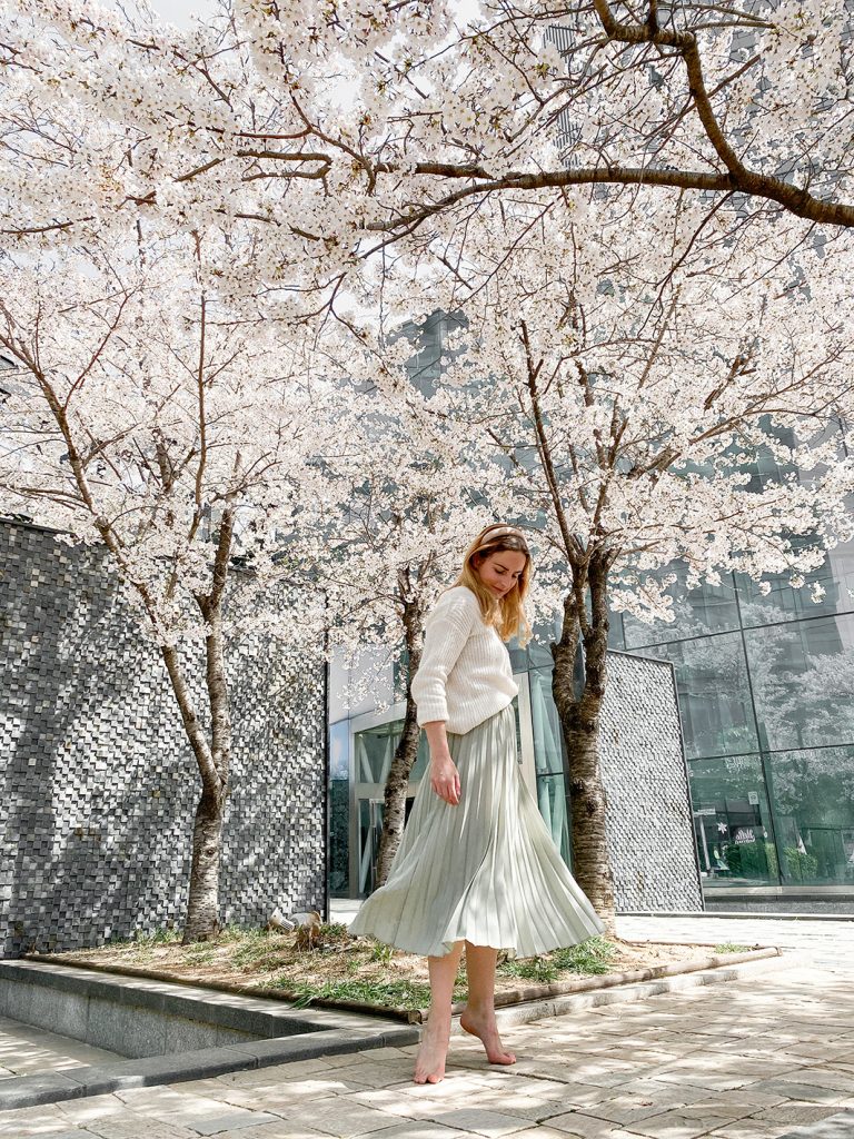 CF CosyFoxes Kirschblüten Cherry Blossoms Seoul Forest Südkorea South Korea